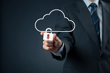 Litigation Management to Secure Cloud